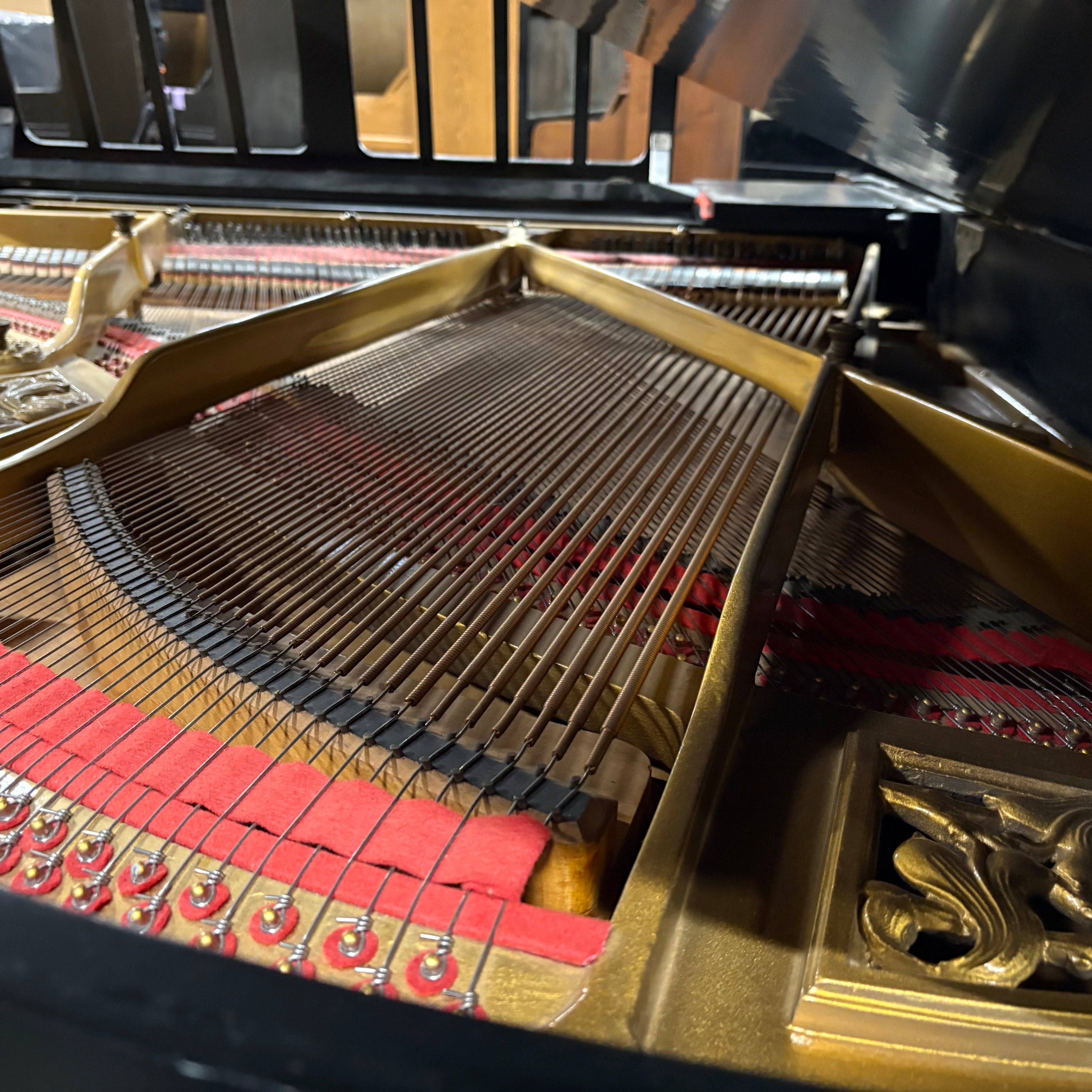 Fritz Kuhla 170 vleugel (1972)