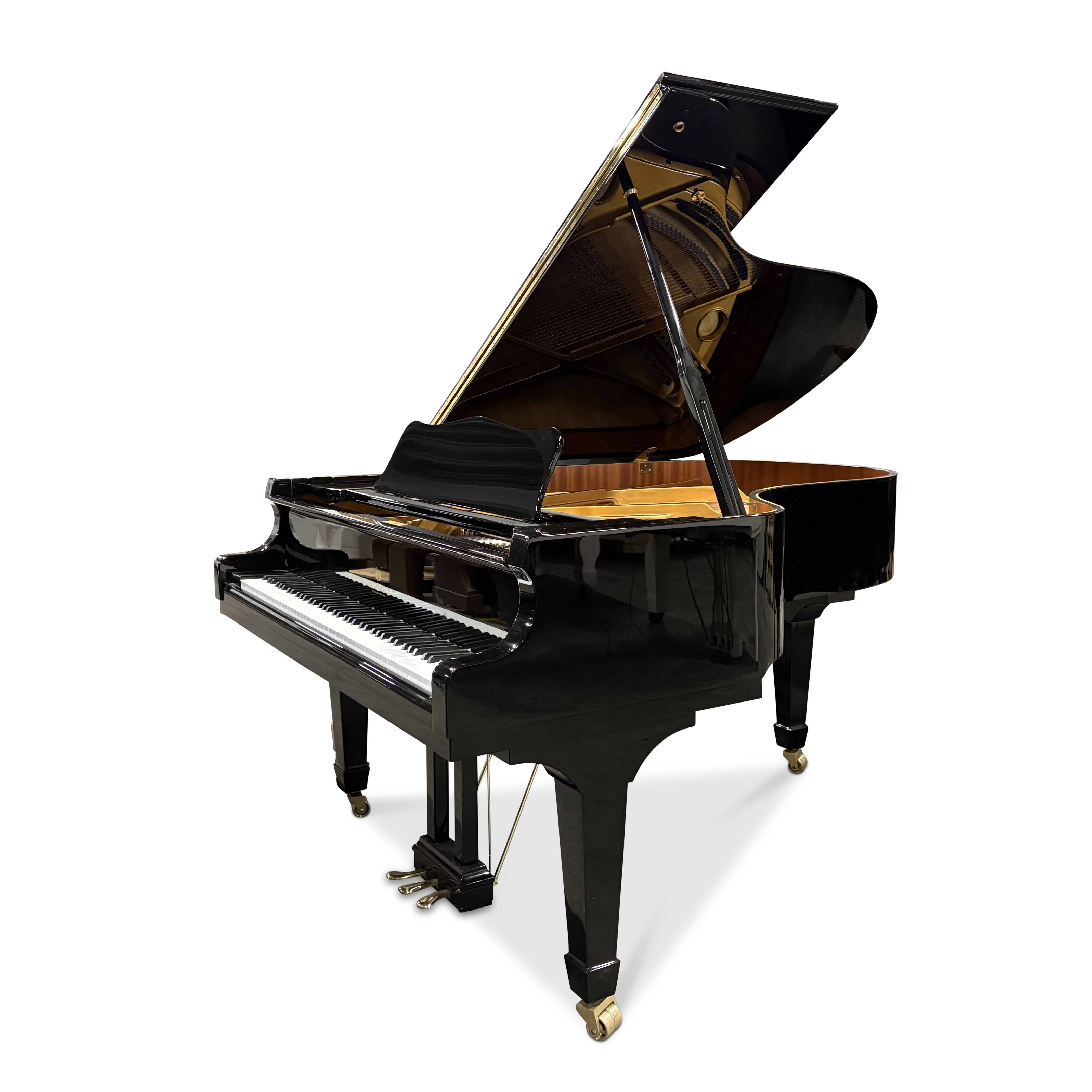 Perzina GP-187 vleugel (2011)