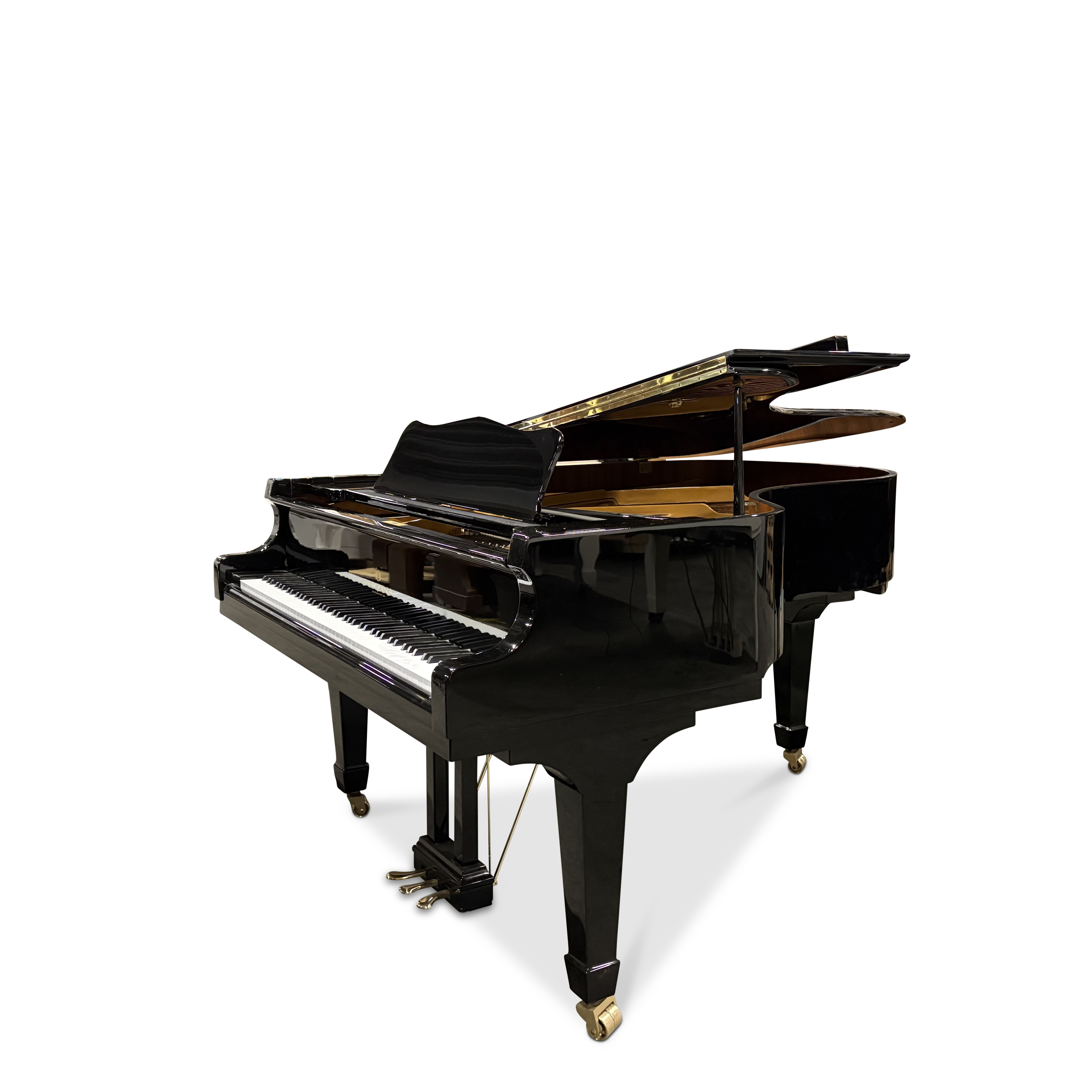 Perzina GP-187 vleugel (2011)