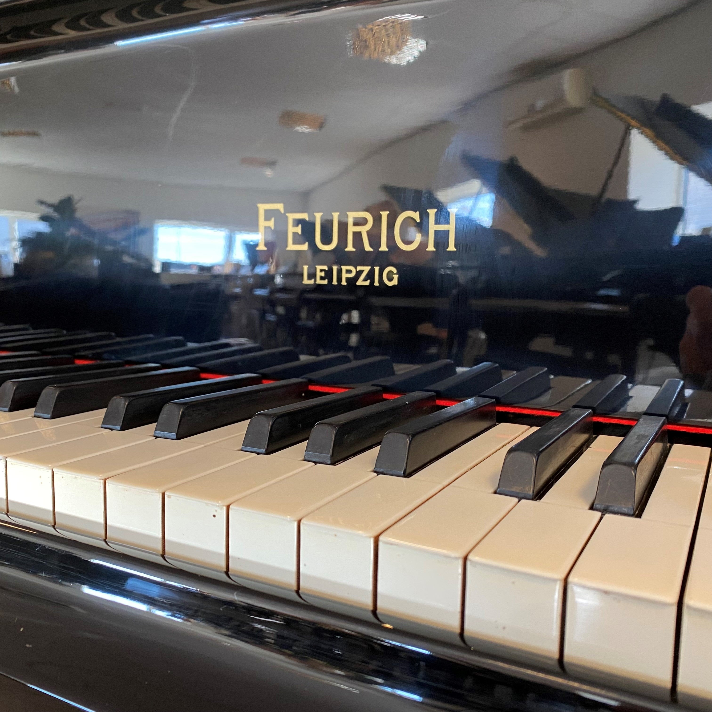 Feurich 195 Flügel (1910)