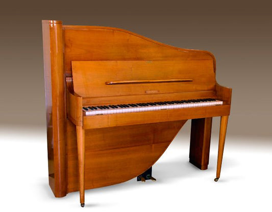 Rippen Maestro Piano