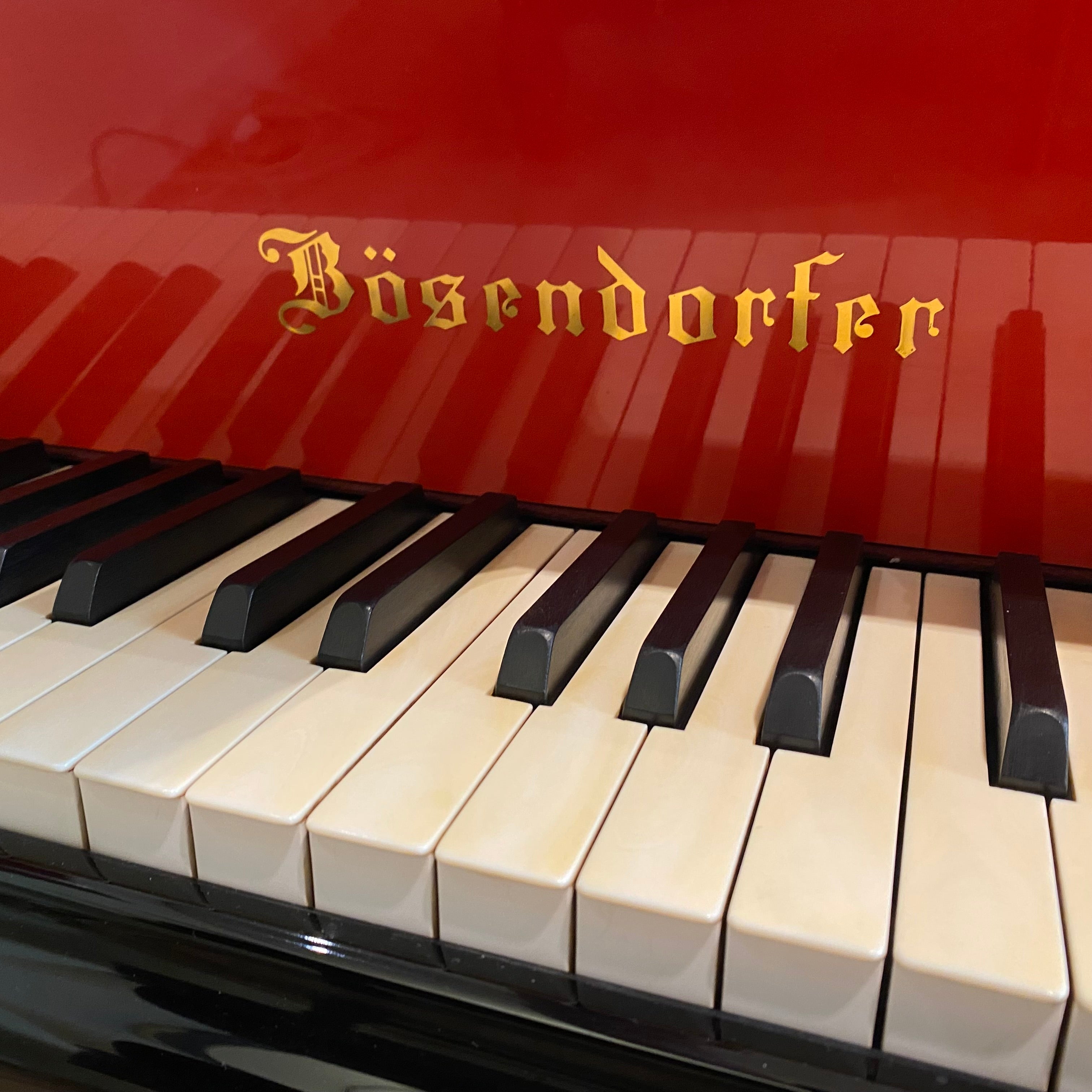 Bösendorfer 290 Imperial grand piano, Hollein edition (1993)