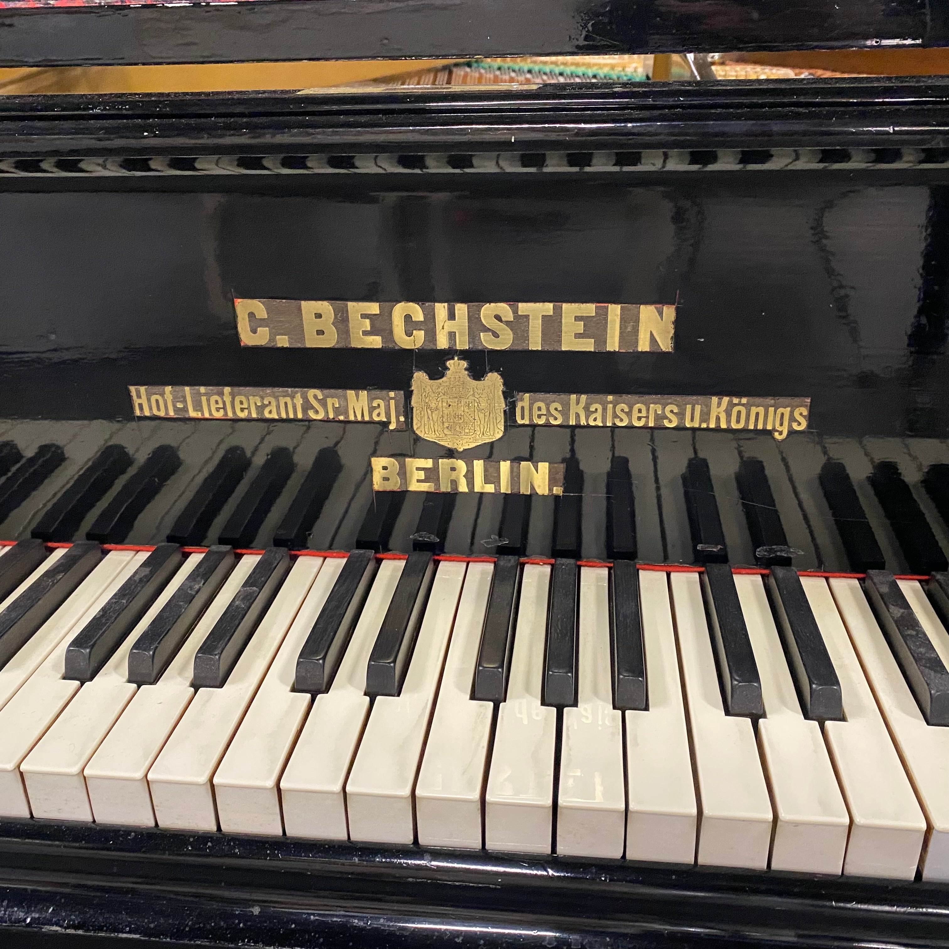 C. Bechstein B-203 vleugel