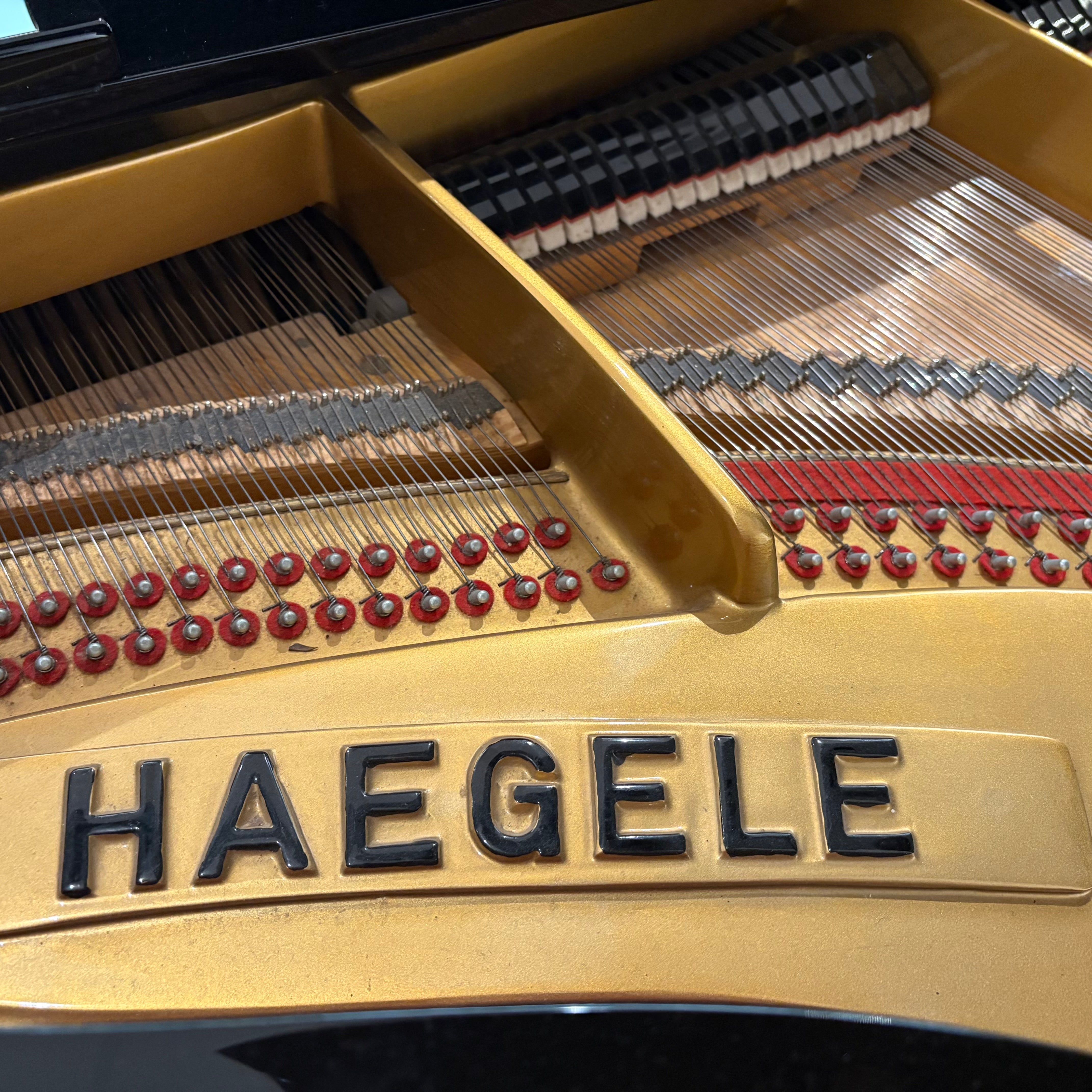 Haegele 190 vleugel (1977)