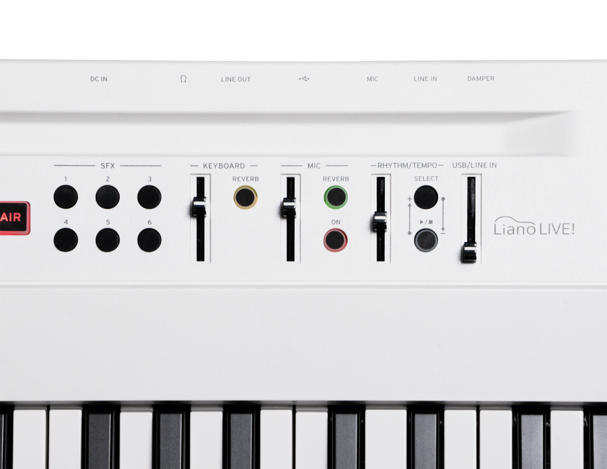 Korg Liano LIVE!