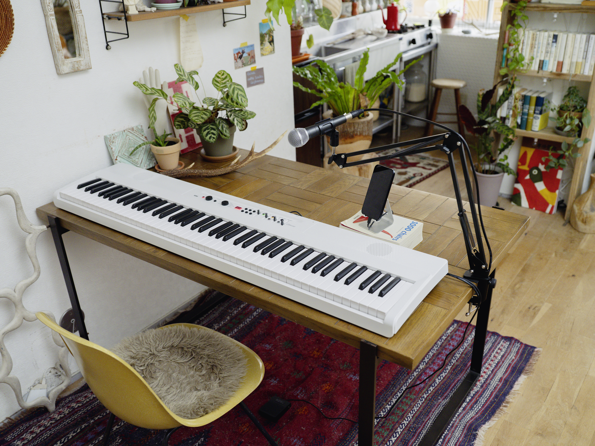 Korg Liano LIVE!