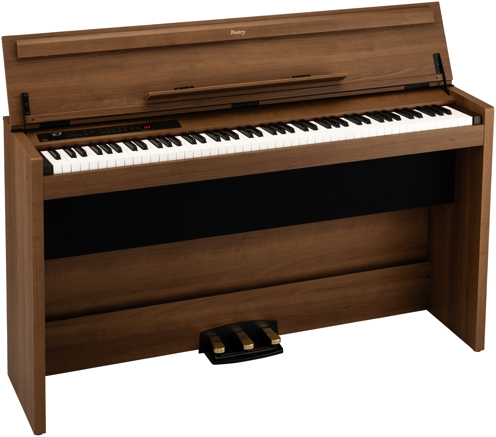 Korg Poetry Magnifique