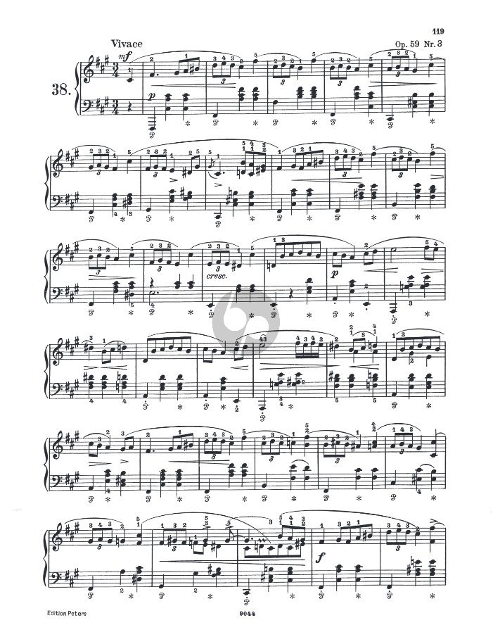 Mazurkas - Chopin