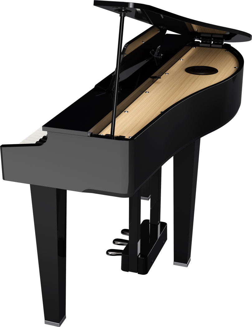 Roland GP-3