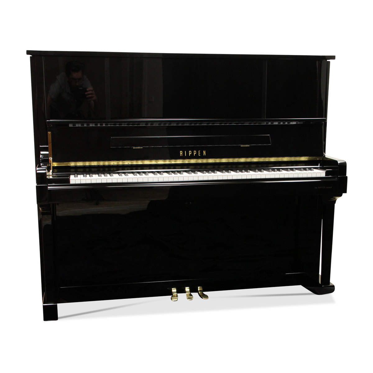 RippenL3-1.png?crop=center&